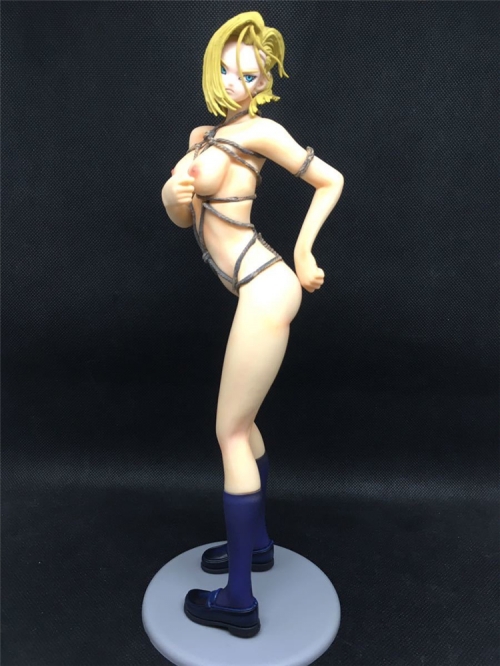 1/6 Dragon Balls girl 18SM